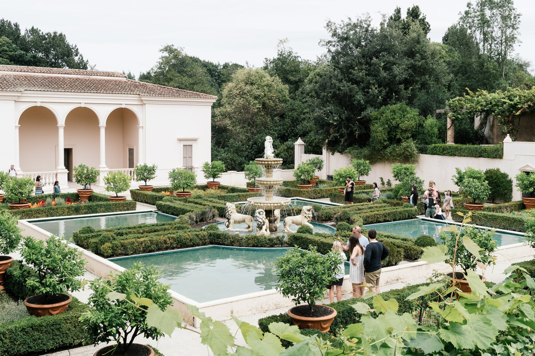 Hamilton Garden scene photographed with an editorial sensibility