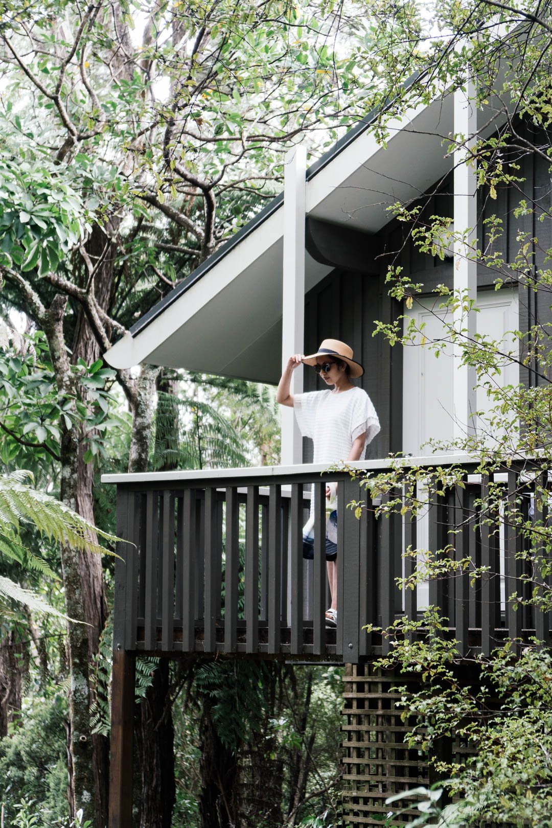 Treehouse-style accommodation surrounded by trees